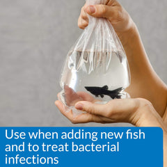 API MELAFIX Freshwater Fish Bacterial Infection Remedy