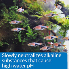 API pH DOWN Freshwater Aquarium Water pH Reducing Solution