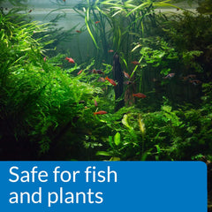 API pH DOWN Freshwater Aquarium Water pH Reducing Solution