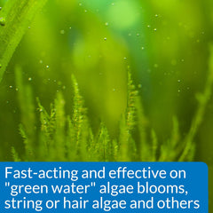 API ALGAEFIX