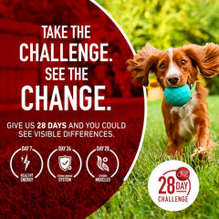 Purina ONE Small Bites Beef and Rice Formula Small High Protein Dry Dog Food Natural With Added Vitamins, Minerals and Nutrients - 16.5 lb. Bag