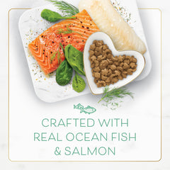 Fancy Feast Dry Cat Food with Ocean Fish and Salmon - 3 lb. Bag