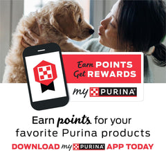 Purina Beneful Gravy Wet Dog Food, Prepared Meals Simmered Beef Entree - (8) 10 oz. Tubs