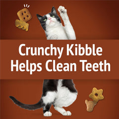 Purina Friskies Cat Treats, Party Mix Wild West Crunch -  2.1 oz. Pouches