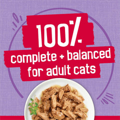 Purina Friskies Prime Filets Turkey Dinner in Wet Cat Food Gravy - (Pack of 24) 5.5 oz. Cans
