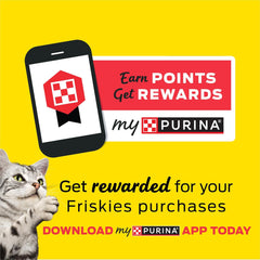 Purina Friskies Prime Filets Turkey Dinner in Wet Cat Food Gravy - (Pack of 24) 5.5 oz. Cans