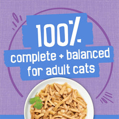 Purina Friskies Shreds Turkey and Cheese Dinner in Gravy High Protein Wet Cat Food - (Pack of 24) 5.5 oz. Cans