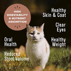 Primal Freeze Dried Raw Cat Food Nuggets Chicken & Salmon, Complete & Balanced Meal or Topper, Premium, Healthy, Grain Free, High Protein Raw Cat Food with Probiotics