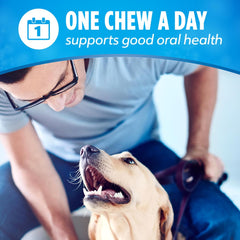 Purina DentaLife Small/Medium Breed Dog Dental Chews; ActivFresh Daily Oral Care Small/Medium Chews - 9 ct. Pouch