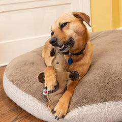 SPOT Dura-Fused Leather Barnyard Animals - Stuffed Dog Toy with Squeaker, Real Leather & Jute Fabric, For Light to Moderate Chewers, Great for Adult Dogs and Puppies - 11in, Assorted Styles