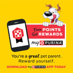 Purina Beggin' Dog Treats, Fun Size With Bacon and Cheese Flavor - (6) 6 oz. Pouches