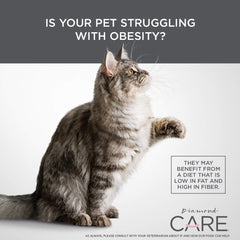 Diamond Care Specialized Weight Management Grain-Free Formulation Adult Dry Dog Food to Support Healthy Weight Control Made Chicken Protein, Probiotics, and High in Fiber