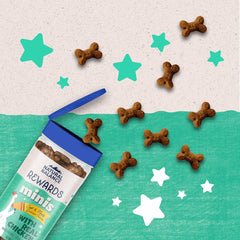 Natural Balance Limited Ingredient Mini-Rewards Grain-Free, Training Treats for Dogs | 5.3-oz. Canister