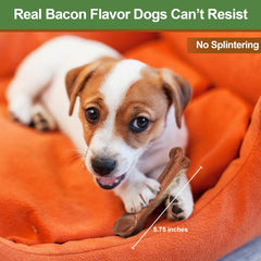 SPOT Bam-Bones Bone - Made with Strong Bamboo Fiber, Durable Long Lasting Dog Chew for Light to Moderate Chewers, Great Toy for Adult Dogs & Teething Puppies Under 25lbs