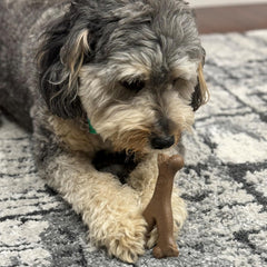 SPOT Bam-Bones Wishbone - Made with Strong Bamboo Fiber, Durable Long Lasting Dog Chew for Light to Moderate Chewers, Great Toy for Adult Dogs & Teething Puppies Under 30lbs
