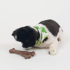 SPOT Bam-Bones Wishbone - Made with Strong Bamboo Fiber, Durable Long Lasting Dog Chew for Light to Moderate Chewers, Great Toy for Adult Dogs & Teething Puppies Under 30lbs
