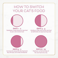 Purina Fancy Feast Dry Cat Food Filet Mignon Flavor with Seafood and Shrimp - (Pack of 4) 16 oz. Bags