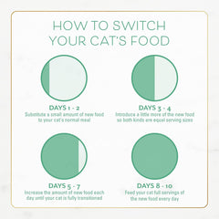 Purina Fancy Feast Dry Cat Food With Ocean Fish and Salmon - (Pack of 4) 16 oz. Bags