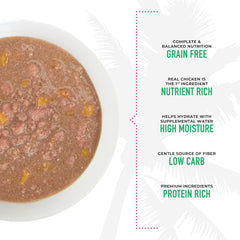 Tiki Cat Aloha Friends, Chicken, Pumpkin & Lamb, Grain-Free & High Moisture, Wet Cat Food for All Life Stages