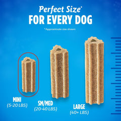 Purina DentaLife ActivFresh Daily Oral Care Mini Dog Chews - 56 ct. Pouch