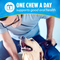Purina DentaLife ActivFresh Daily Oral Care Mini Dog Chews - 56 ct. Pouch