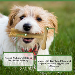 SPOT Bam-Bones Plus T Bone - Bamboo Fiber & Nylon, Durable Long Lasting Dog Chew for Aggressive Chewers – Great Toy forAdult Dogs & Teething Puppies Under 30lbs, Non-Splintering, Chicken Flavor