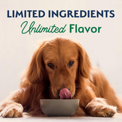 Natural Balance Limited Ingredient Large Breed Adult Dry Dog Food with Healthy Grains, Lamb & Brown Rice Recipe