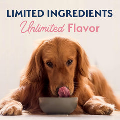 Natural Balance Limited Ingredient Adult Dry Dog Food with Healthy Grains, Salmon & Brown Rice Recipe