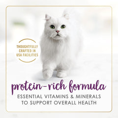 Purina Fancy Feast Senior Wet Cat Food 7 Years Plus Beef Feast Pate - (Pack of 24) 3 oz. Cans