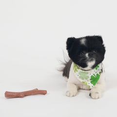 SPOT Bam-bones PLUS Branch -Bamboo Fiber & Nylon, Durable Long Lasting Dog Chew for Aggressive Chewers – Great Toy for Adult Dogs & Teething Puppies under 60lbs, Non-Splintering, Beef Flavor
