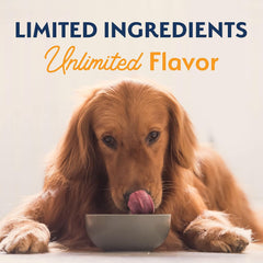 Natural Balance Limited Ingredient Adult Grain-Free Dry Dog Food, Reserve Duck & Potato Recipe