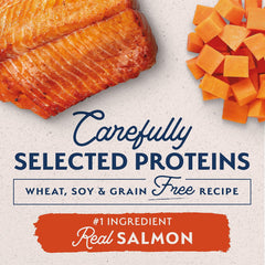 Natural Balance Limited Ingredient Small Breed Adult Grain-Free Dry Dog Food, Salmon & Sweet Potato Recipe