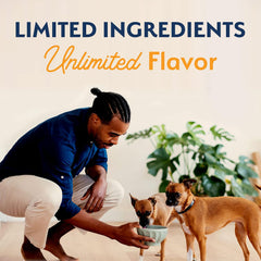 Natural Balance Limited Ingredient Small-Breed Adult Grain-Free Dry Dog Food, Reserve Duck & Potato Recipe