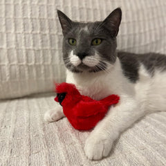 SPOT Song Birds Cat Toys - Touch Activated Singing Catnip Toy Mimics Real Bird Songs, Battery Operated Toy Satisfies Cat's Natural Urge to Hunt - One 5" Song Bird, Assorted Colors