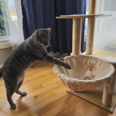 SPOT Naturals Silver Vine Cat Toy – Natural Interactive Enrichment for Cats, Stimulates Play and Reduces Stress, Durable and Safe, Perfect for Indoor Cats and Kittens, Assorted Styles, 1 Piece