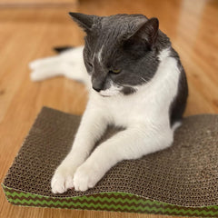 SPOT Wave Cat Scratcher - Corrugated Scratching Board with Wavy Design, Made from 100% Eco-Friendly & Recyclable Cardboard, Encourages Good Scratching Behavior - 17" Board with Catnip Pouch Included
