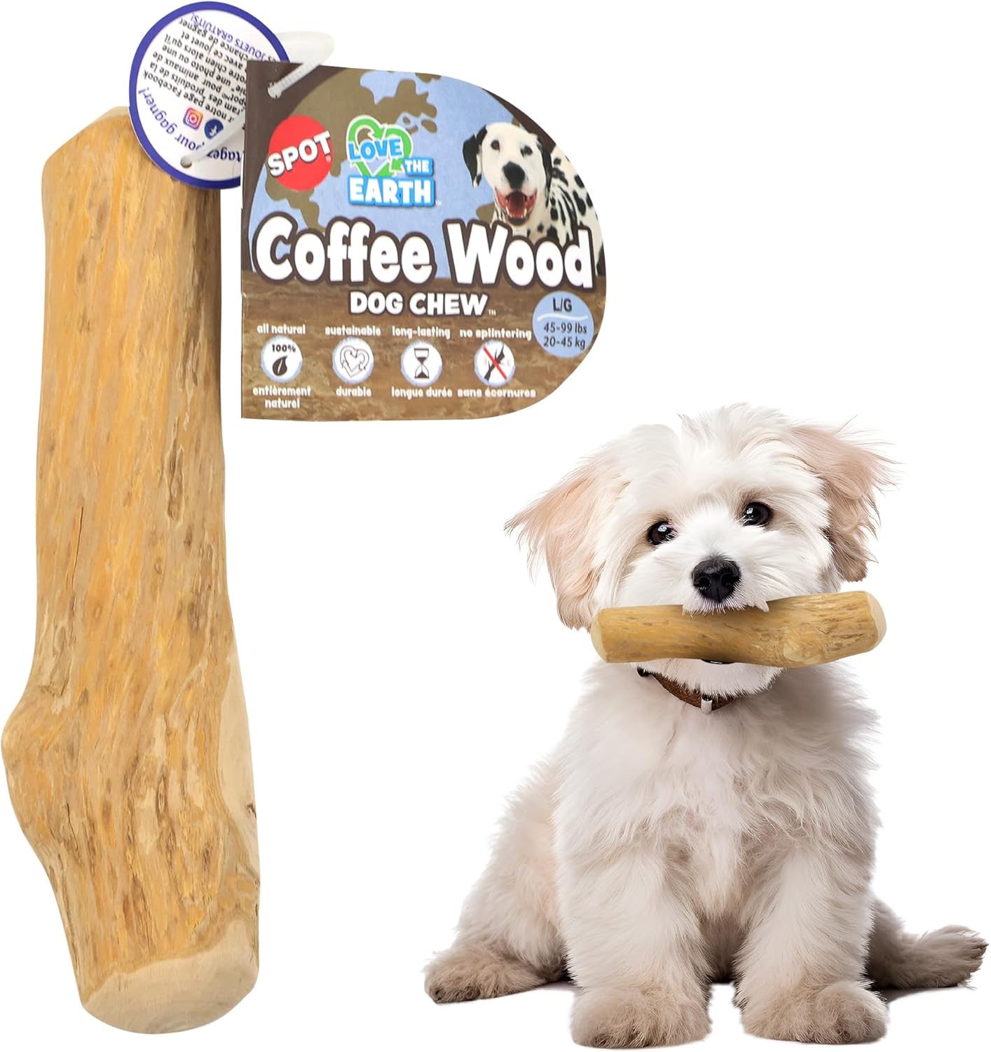 SPOT Coffee Wood Dog Chew Toy – 100% Natural & Sustainably Sourced  Non-Splintering Wood from Coffee Plants, Long Lasting, Durable Toy for  Aggressive 