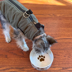 SPOT by Ethical Products - Heavy Ceramic High Gloss Dog Bowl Cat Bowl Durable Dog Food and Water Pet Dish - Dishwasher Safe - I Love Dogs Dog Dish