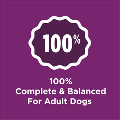 Purina Dog Chow Complete Adult Dry Dog Food Kibble with Lamb Flavor - 18.5 lb. Bag