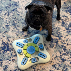 SPOT Seek A Treat Slide' N Turn Puzzle -Interactive Dog Puzzle Toy for Small, Medium & Large Smart Dogs and Cats, Squeaky, Enrichment and Mentally Stimulating Toy for Training and Boredom Buster