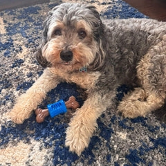 SPOT Bam-Bones Plus Dental Chew Bone - Bamboo Fiber & Nylon with a Massaging Rubber Center, Durable Long Lasting Oral Care Dog Chew for Aggressive Chewers & Teething Puppies, 6.5in, Bacon Flavor