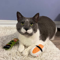SPOT Sushi Take-out- Cat Plush Toys with Catnip & Silverine Blend, Cute and Funny Toys For Indoor Cats & Kittens, Perfect for Batting and Chasing - 4 inch, Assorted 2-Pack, Styles May Vary