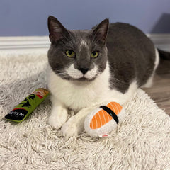 SPOT Sushi Take-out- Cat Plush Toys with Catnip & Silverine Blend, Cute and Funny Toys For Indoor Cats & Kittens, Perfect for Batting and Chasing - 4 inch, Assorted 2-Pack, Styles May Vary