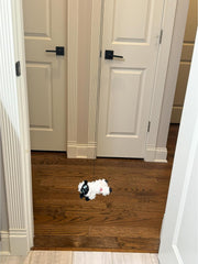 SPOT A-Door-Able Baa Baa Sheep Cat Toy - Hanging Lamb with Catnip/Silverine Blend, Soft Fleece, Attaches to Any Door Frame, Engages Cats' Natural Hunting Instincts for Hours of Play