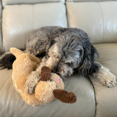 SPOT Soothers- Warm Hug Pal - Calming Plush Dog Toy with Lavender Scented Beads, Removable Squeaker, Microwavable Warming Pouch, Separation Anxiety Relief, for Medium to Large Dogs and Puppies, 10in