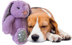 SPOT Soothers Heartbeat Bunny- Calming Toy for Dogs with Heartbeat Pulse, Separation Anxiety Relief and Behavioral Training Aid for Puppy Calming, 12in