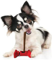 SPOT Treat Holder- Safety Device Bully Stick Holder & Yak Cheese Holder for Small and Medium Dogs, to Help Prevent Choking