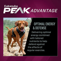 Eukanuba Premium Performance 30/20 Sport Dry Dog Food, Dry Dog Food with Protein and Fat to Support Optimal Energy, 28 lb Bag