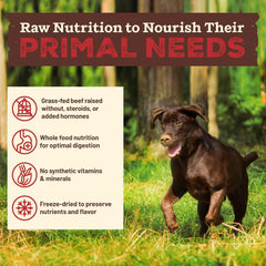 Primal Kibble in The Raw, Freeze Dried Dog Food, Beef, Scoop & Serve, Made with Raw Protein, Whole Ingredient Nutrition, Crafted in The USA, Dry Dog Food