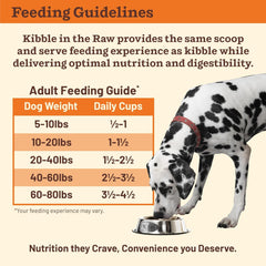 Primal Kibble in The Raw, Freeze Dried Dog Food, Beef, Scoop & Serve, Made with Raw Protein, Whole Ingredient Nutrition, Crafted in The USA, Dry Dog Food